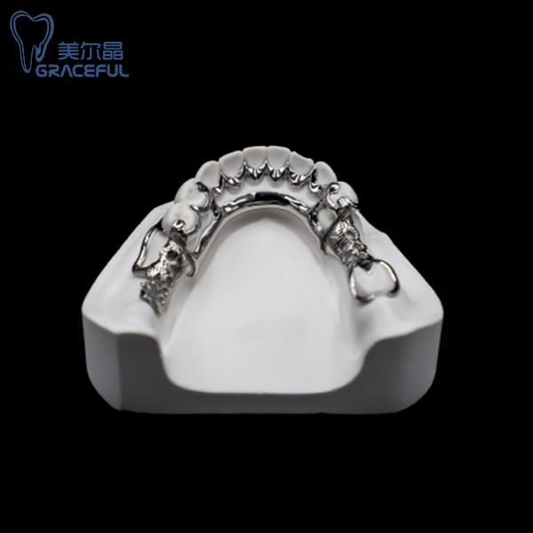Dental Metal Framework (1)