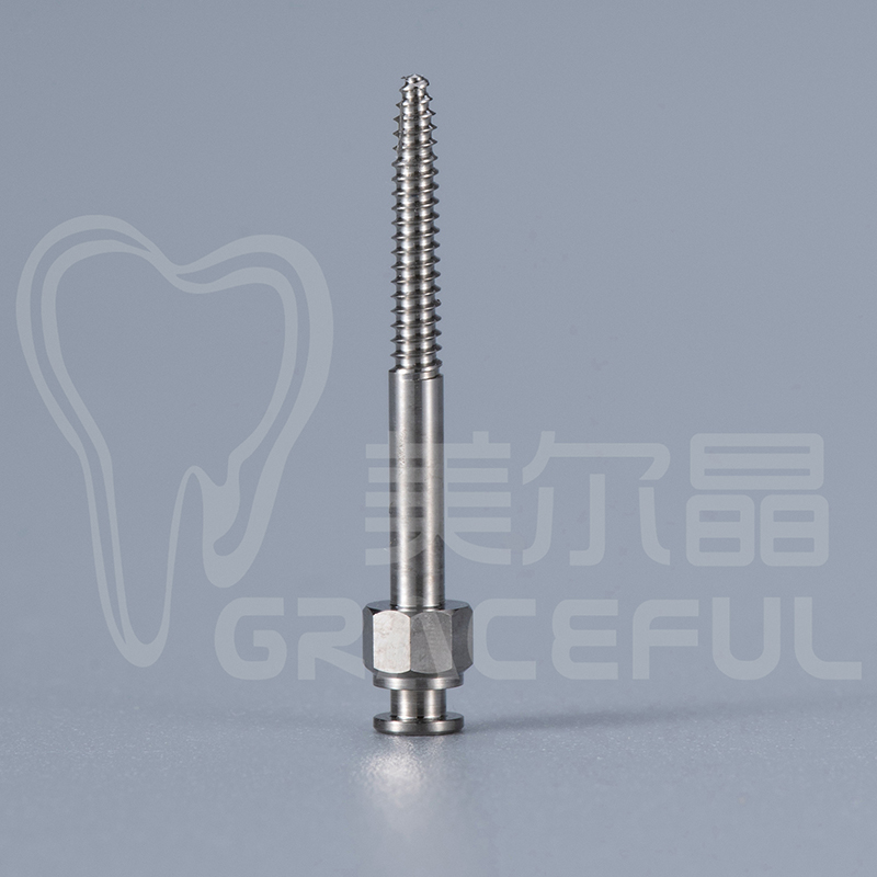 Lateral Template pin Fixation Pins 1
